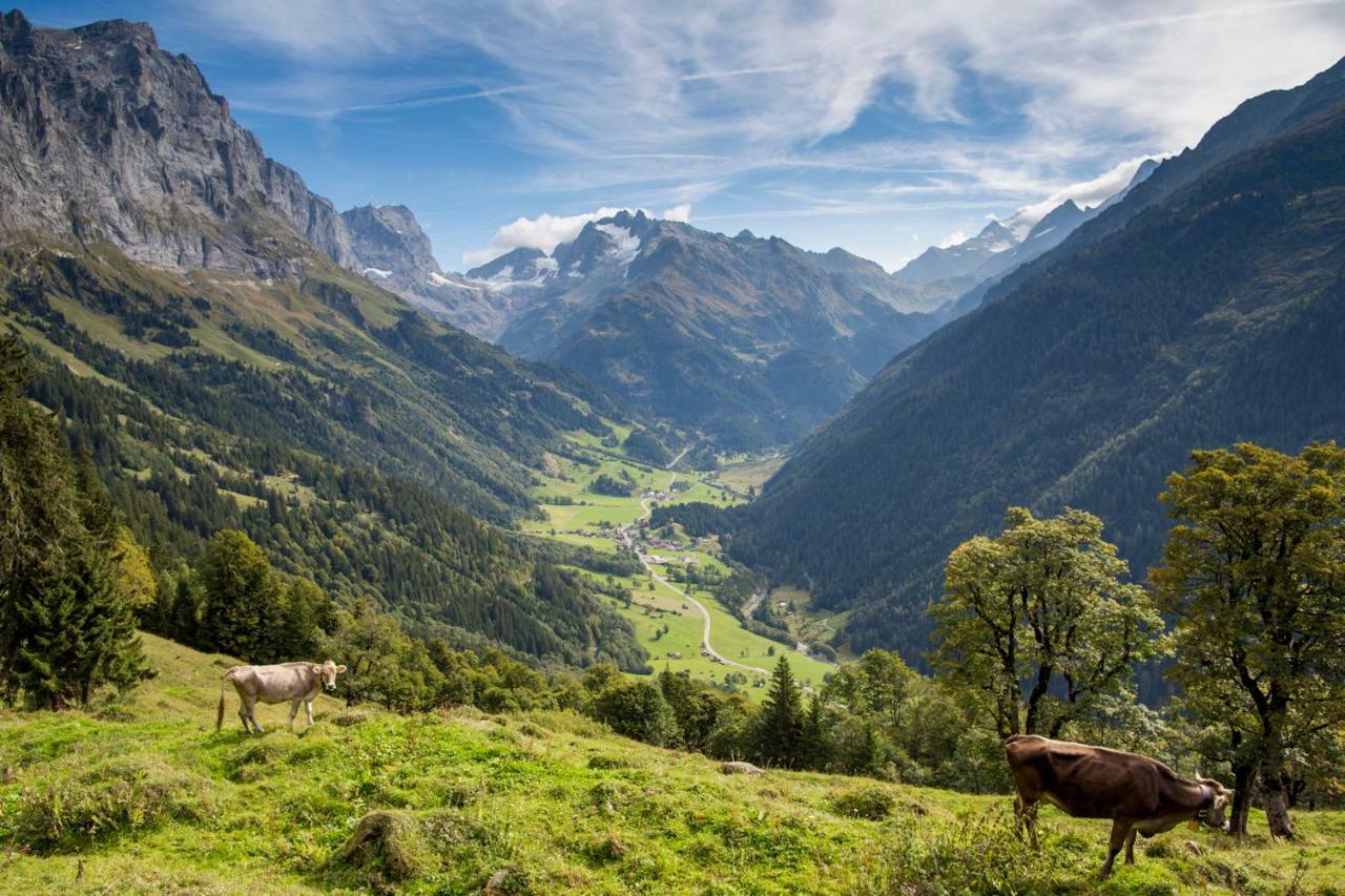 Gadmer Lodge - Dein Zuhause In Den Bergen Gadmen Exteriér fotografie